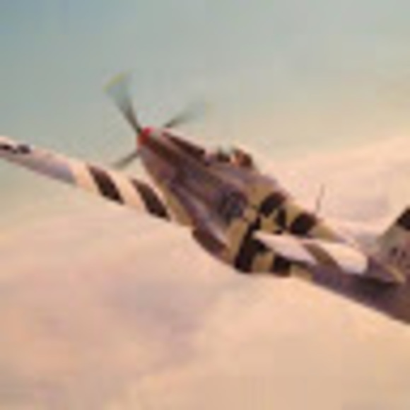 Meet your Posher, Brett - Picture 1 of 1